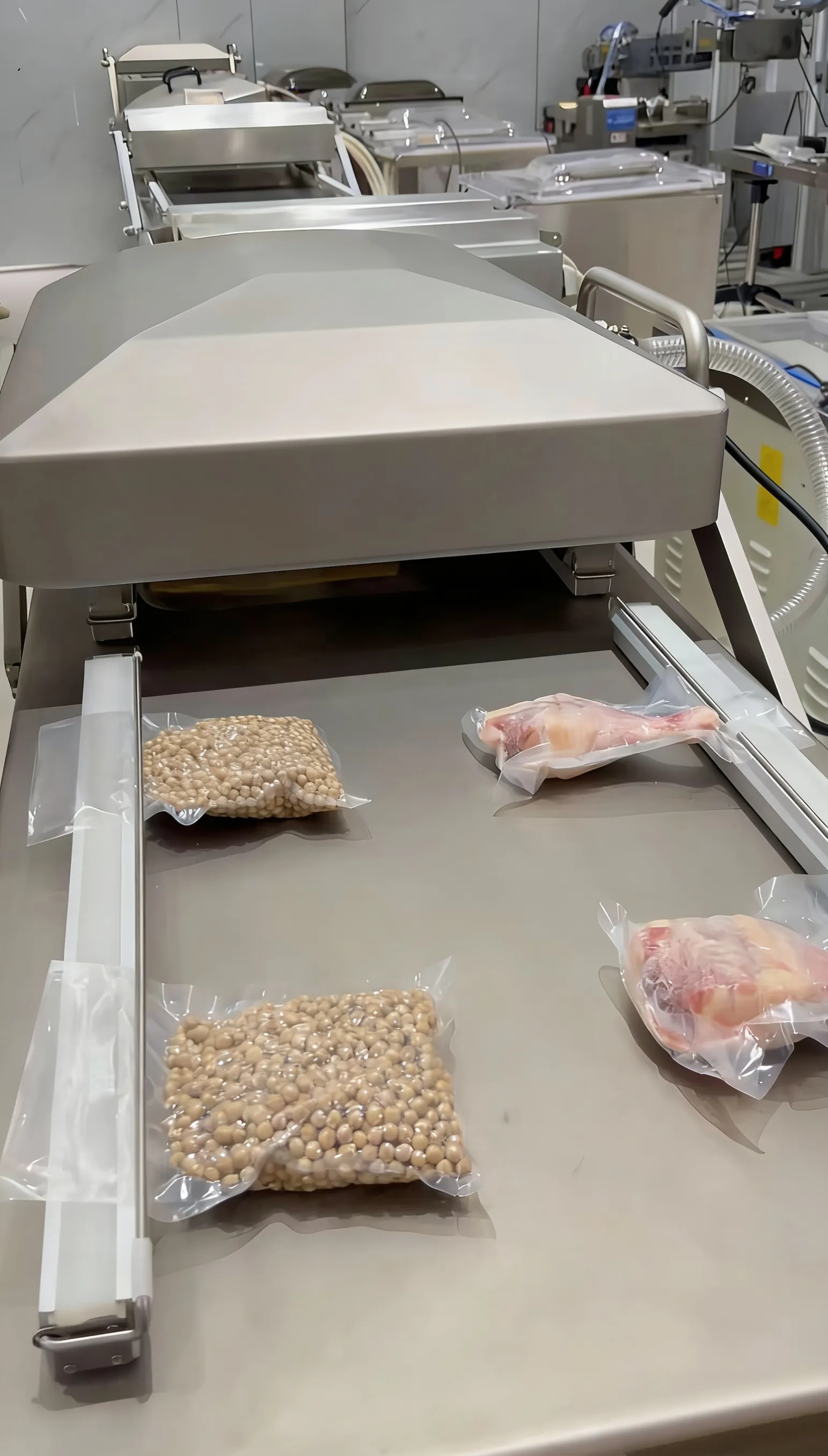 Double Chamber Vacuum Packaging Machine
