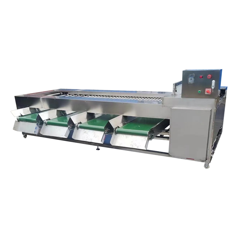 Roller Fruit and Vegetable Grading Machine